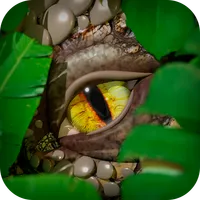 My DinoRanch icon