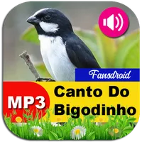 Canto De Bigodinho icon