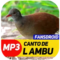 Canto De Lambu Completo icon