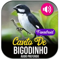 Canto Do Bigodinho icon