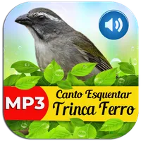 Canto Esquentar Trinca Ferro icon