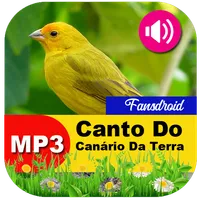 Canto Do Canário Da Terra icon