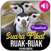 Suara Ruak Ruak Pikat Lengkap icon