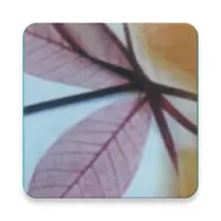 কবিতা এখন বৃদ্ধ? - Bangla kobi icon