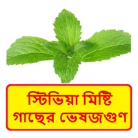 স্টিভিয়া মিষ্টি গাছের ভেষজগুণ icon