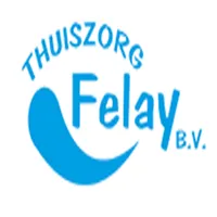 Felay Thuiszorg icon