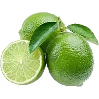 Lemon Billing App icon