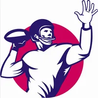 Pro Football Champions icon