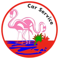 Flamingo Car and Limo Service icon