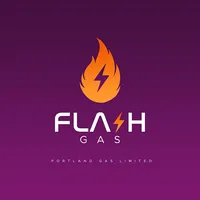 Flash Gas icon