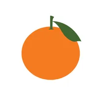 Orange Fuels - Fleet Manager icon