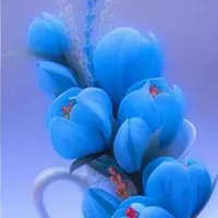 Flower Wallpaper HD icon