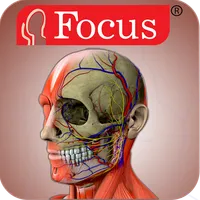 Head and Neck- Digital Anatomy icon