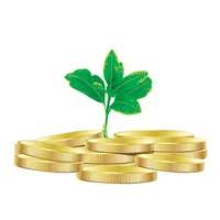 Focus Securities icon