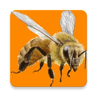 Koumi icon