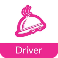 FZ DRIVER TEST icon