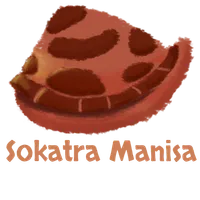 Sokatra Manisa icon