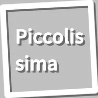 Book, Piccolissima icon
