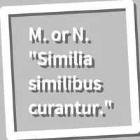 Book, M. or N. 