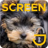 Yorkshire Terrier Puppy Dog Th icon