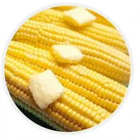 Comidas Típicas de Festa Junin icon