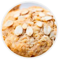 Receitas com Aveia icon
