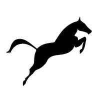 FullApp icon