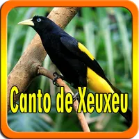 Canto de Xeuxeu icon