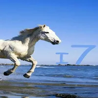 i7 Wallpapers icon