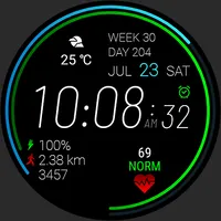 Futorum H1 Digital watch face icon