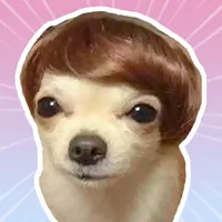 Animal Stickers WASticker icon