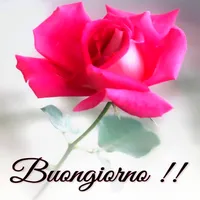 Buongiorno Animata Immagini icon