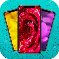 Flowers and roses wallpapers icon