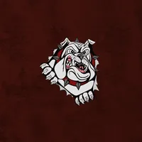 Cooper Bulldogs icon