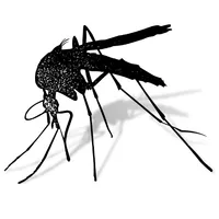 Mosquito Monitoring icon