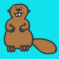 Beaver Falls icon