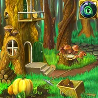 hidden dragon the game icon