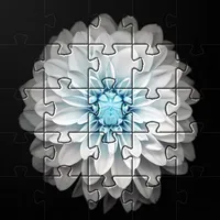 Flowers Jigsaw Puzzles Games icon