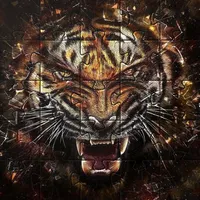 Tiger Jigsaw Puzzles  Games icon