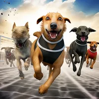 Dog Racing game - dog games icon