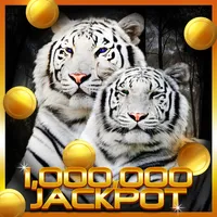 Wild Cat Slot: Real Jackpot &  icon