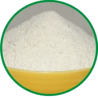 Garri Production icon