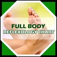 Reflexology Chart - Full Body icon
