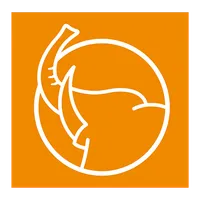 Convención Gasa icon