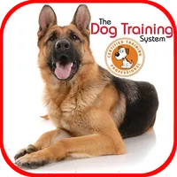 Dog Training icon