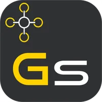 GazoSurvey icon