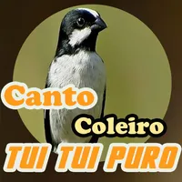 Canto Coleiro Tui Tui Puro icon