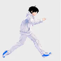 NIKKO RUN icon