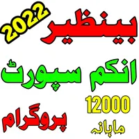 Benazir Income Support icon