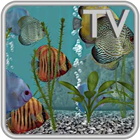 Discus Fish Aquarium TV Live icon